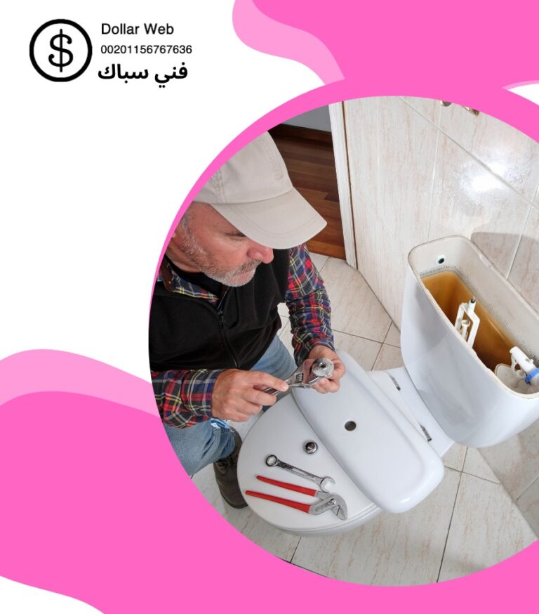 فني صحي النهضة